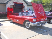 rays-red-t-bird